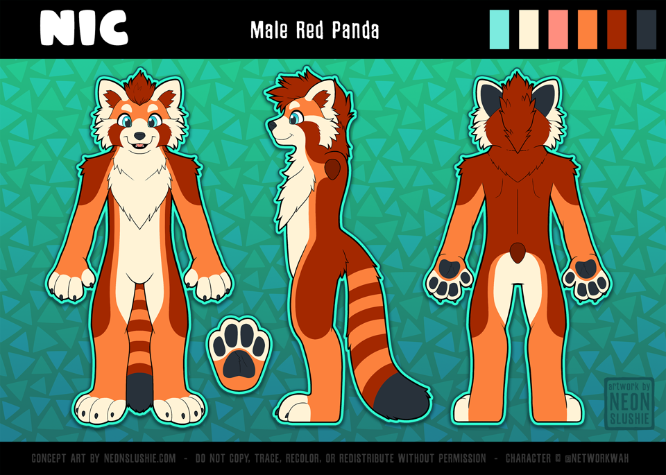 NIC ref sheet